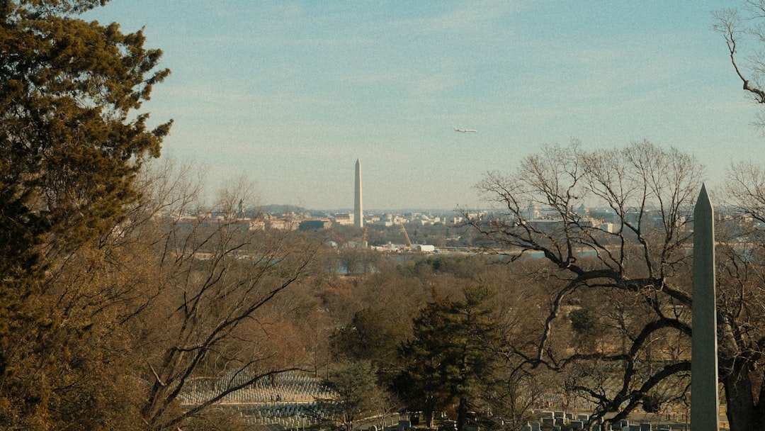 Why Arlington Should Be Your Next Travel Destination